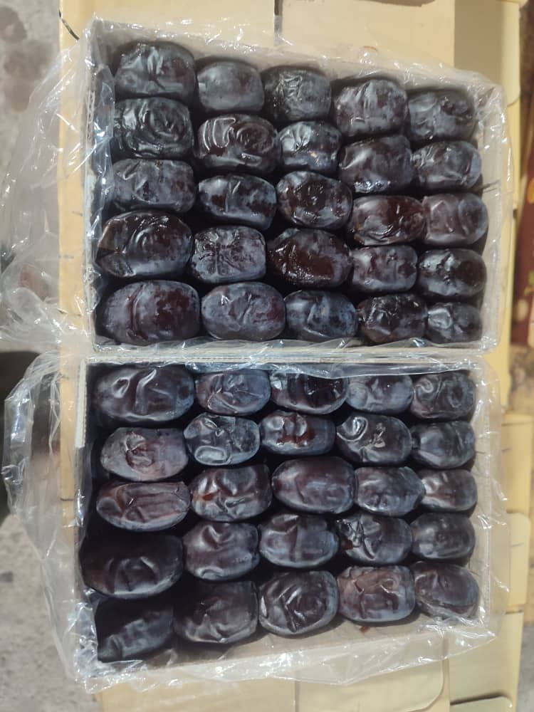 خرما مضافتی دو ردیفه